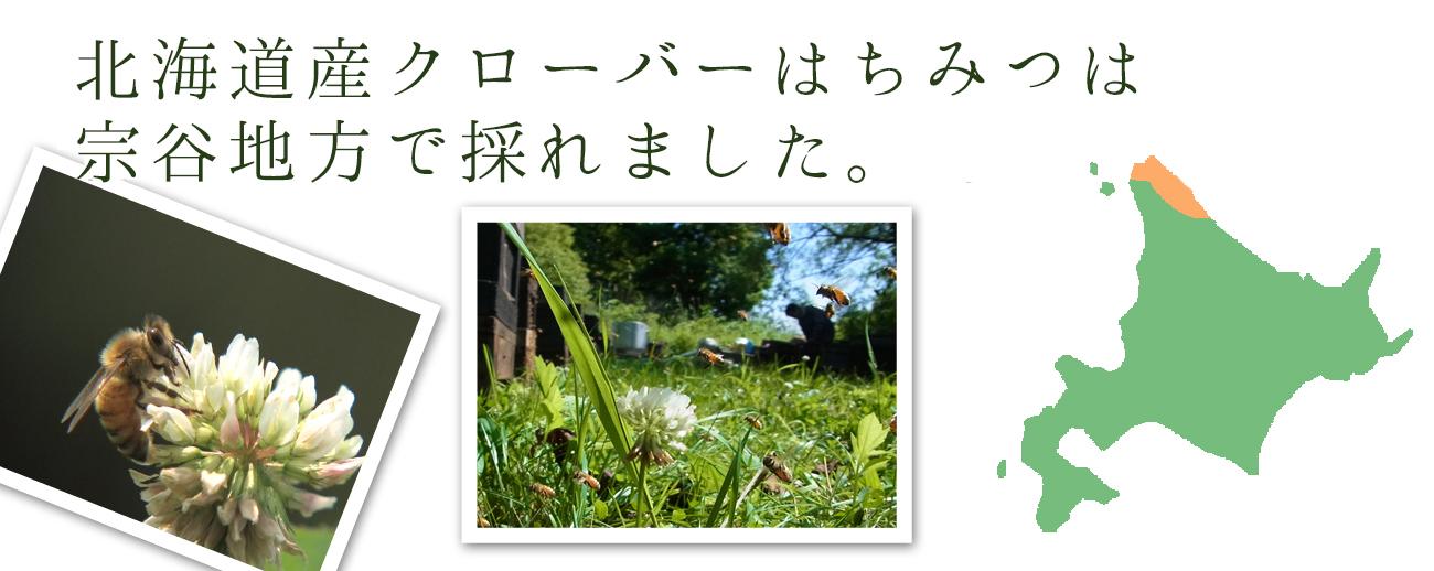 北海道産クローバーはちみつは北海道歌登で採れています。