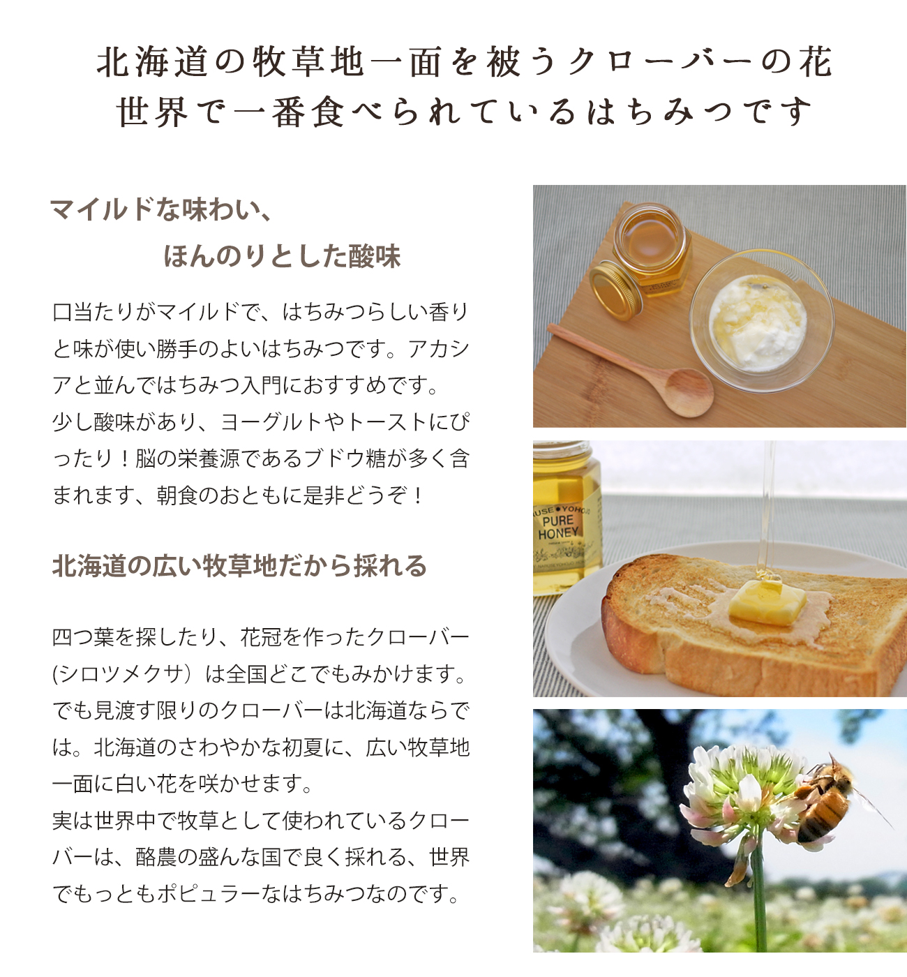 北海道産クローバーはちみつ
北海道の牧草地一面を被うクローバーの花
世界で一番食べられているはちみつです
マイルドな味わい、
ほんのりとした酸味
口当たりがマイルドで、はちみつらしい香りと
味が使い勝手のよいはちみつです。アカシアと
並んではちみつ入門におすすめです。
少し酸味があり、ヨーグルトやトーストにぴっ
たり!脳の栄養源であるブドウ糖が多く含まれ
ます、朝食のおともに是非どうぞ!
北海道の広い牧草地だから採れる
四つ葉を探したり、花冠を作ったクローバー(
シロツメクサ)は全国どこでもみかけますね。
でも見渡す限りのクローバーは北海道ならでは。
北海道のさわやかな初夏に、広い牧草地一面に
白い花を咲かせます。
実は世界中で牧草として使われているクローバー
は、酪農の盛んな国で良く採れる、世界でもっと
もポピュラーなはちみつなのです。