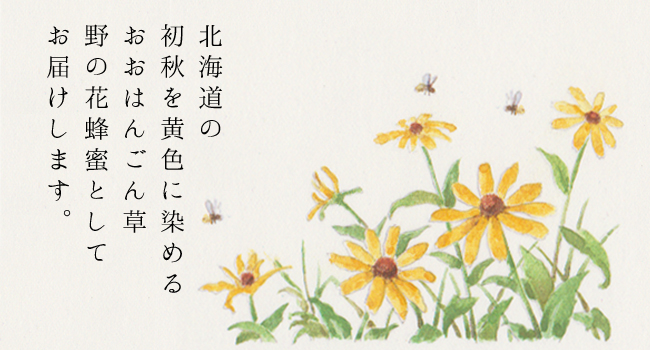 北海道産おおはんごんそう蜂蜜