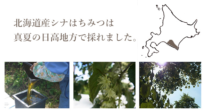 北海道産シナはちみつは北海道歌登で採れています。