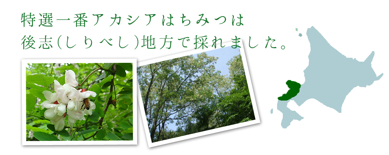 2015年産北海道産特選一番アカシアはちみつは北海道札幌で採れました