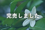 静岡県産みかん蜂蜜