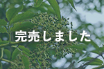 北海道産シコロ（キハダ）蜂蜜