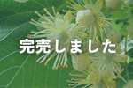 北海道産シナ（ボダイジュ）蜂蜜