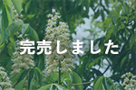 青森県産トチノキ蜂蜜