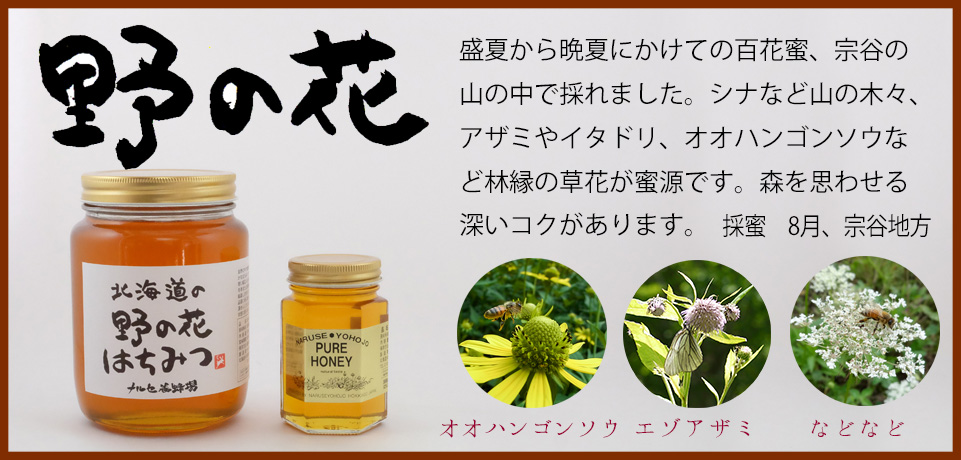 北海道産野の花はちみつ 盛夏から晩夏にかけての百花蜜、美瑛の
森で採れたはちみつです。セリの仲間や
オオハンゴンソウなど林縁の草花や、
夏の山の木々の花のはちみつです。