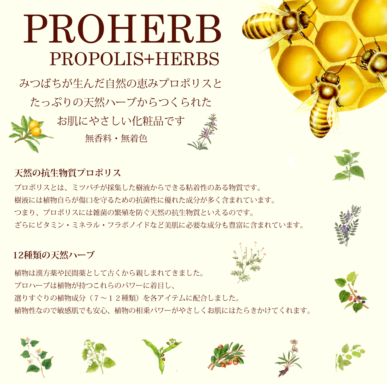 PROHERB PROPOLIS+HERBS
みつばちが生んだ自然の恵みプロポリスと
たっぷりの天然ハーブからつくられた
お肌にやさしい化粧品です
無香料・無着色

天然の抗生物質プロポリス　
プロポリスとは、ミツバチが採集した樹液からできる粘着性のある物質です。
樹液には植物自らが傷口を守るための抗菌性に優れた成分が多く含まれています。
つまり、プロポリスには雑菌の繁殖を防ぐ天然の抗生物質といえるのです。
ざらにビタミン・ミネラル・フラボノイドなど美肌に必要な成分も豊富に含まれています。
12種類の天然ハーブ
植物は漢方薬や民間薬として古くから親しまれてきました。
プロハーブは植物が持つこれらのパワーに着目し、
選りすぐりの植物成分（７～１２種類）を各アイテムに配合しました。
植物性なので敏感肌でも安心、植物の相乗パワーがやさしくお肌にはたらきかけてくれます。
