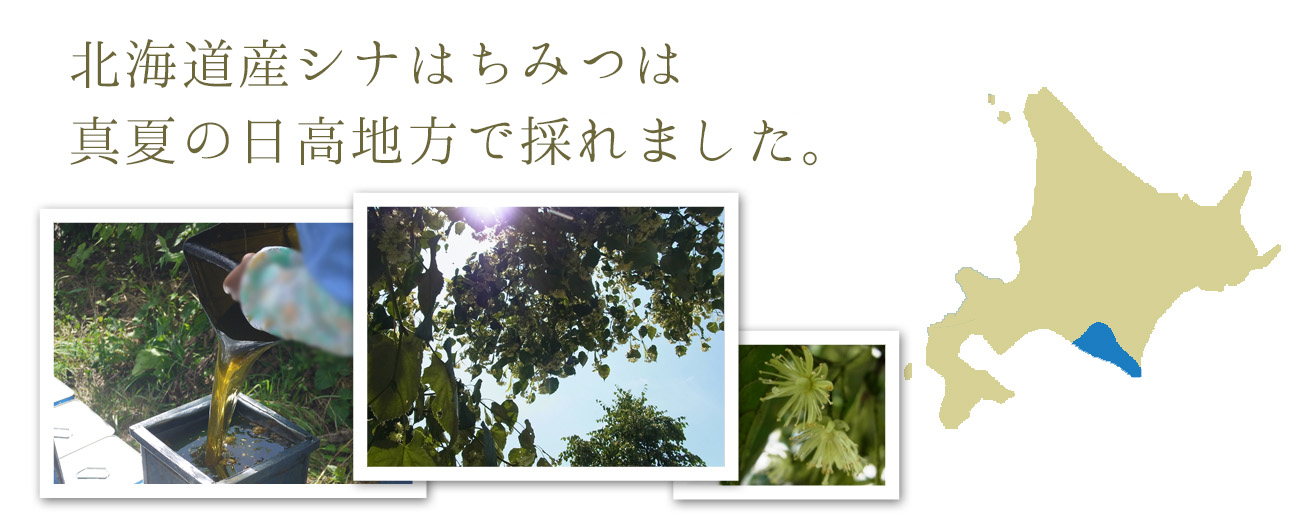 北海道産シナはちみつは北海道歌登で採れています。