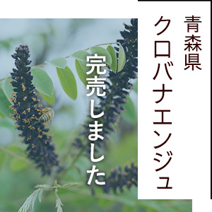 青森県産クロバナエンジュ（イタチハギはちみつ