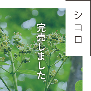 北海道産シコロはちみつ