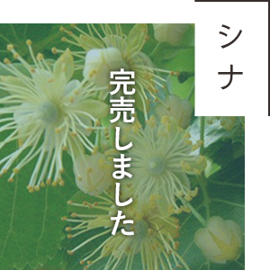 北海道産シナ（シナノキ、ボダイジュ）はちみつ